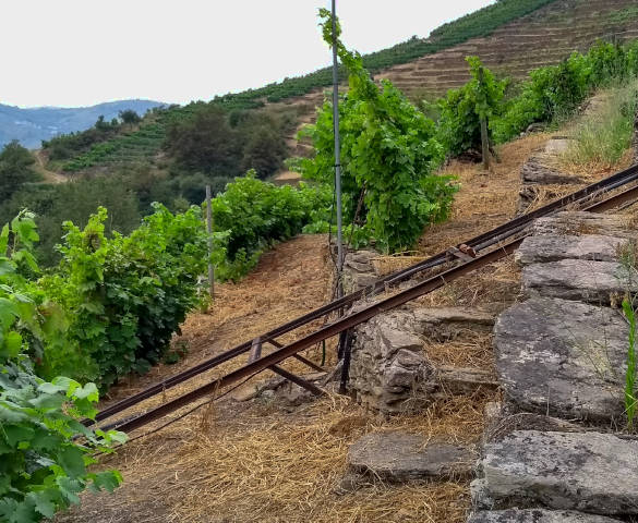 PR-G 237 - Mecanización de la vendimia en la viticultura heroica de la Ribeira Sacra: carril para el transporte de las cajas hasta la bodega